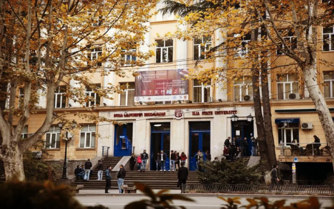 Ilia State University (ISU) Application Process