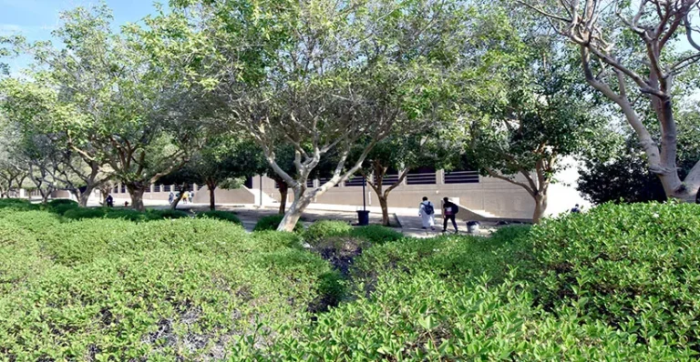 Campus of King Fahd University of Petroleum and Minerals