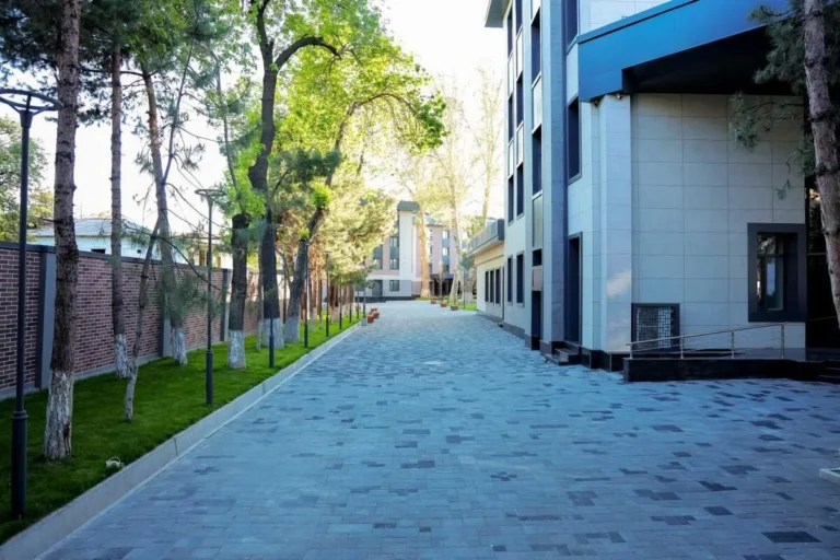 Campus of Tashkent International University